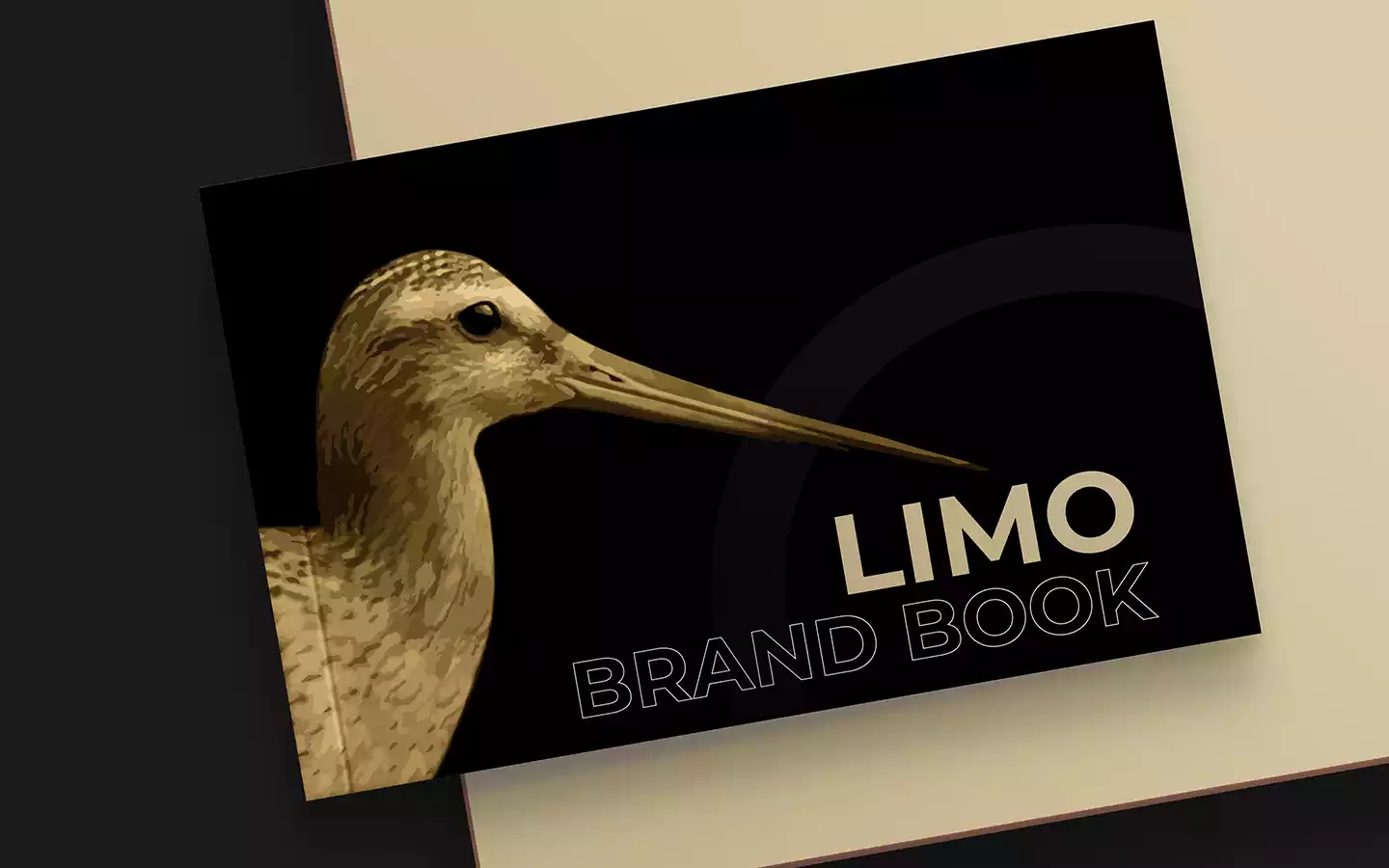 Limo_Brand Book